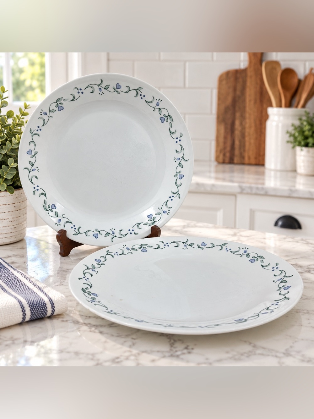 Corelle Country Cottage 10.25” Dinner Plates Blue Hearts Green Vines Set of 2